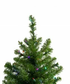 Northlight 2' Pre-Lit Medium Canadian Pine Artificial Christmas Tree - Multicolor Lights 10 Northlight 2' Pre-Lit Medium Canadian Pine Artificial Christmas Tree - Multicolor Lights -Northlight Shop northlight v15848 4update 33837.1665696780