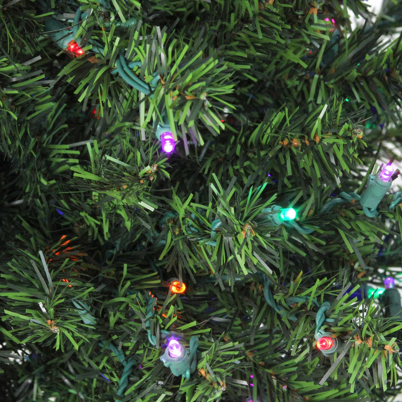 Northlight 2' Pre-Lit Medium Canadian Pine Artificial Christmas Tree - Multicolor Lights 6 Northlight 2' Pre-Lit Medium Canadian Pine Artificial Christmas Tree - Multicolor Lights - Image 4