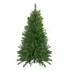 Northlight 5' Pre-Lit LED Medium Canadian Pine Artificial Christmas Tree - Multicolored Lights 1 Northlight 5' Pre-Lit LED Medium Canadian Pine Artificial Christmas Tree - Multicolored Lights -Northlight Shop northlight v15885 06826.1590415081