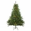 Northlight 5' Pre-Lit LED Medium Canadian Pine Artificial Christmas Tree - Candlelight Lights -Northlight Shop northlight v15888 82884.1665611625