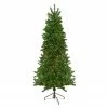 Northlight 6.5' Pre-Lit Canadian Pine Slim Artificial Christmas Wall Tree - Multicolor Lights 1 Northlight 6.5' Pre-Lit Canadian Pine Slim Artificial Christmas Wall Tree - Multicolor Lights -Northlight Shop northlight v27344 update 34347.1665696781