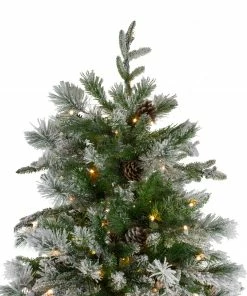Northlight 6.5' Pre-Lit LED Full Mixed Rosemary Emerald Angel Pine Artificial Christmas Tree - Clear Lights -Northlight Shop northlight v27363 3 48713.1587643979