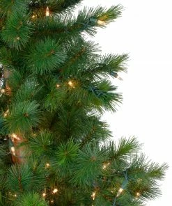Northlight 6.5' Pre-Lit Slim Royal Alpine Artificial Christmas Tree - Clear Lights 10 Northlight 6.5' Pre-Lit Slim Royal Alpine Artificial Christmas Tree - Clear Lights -Northlight Shop northlight v27368 1 73112.1666042527