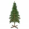Northlight 6.5' Pre-Lit Slim Royal Alpine Artificial Christmas Tree - Clear Lights 1 Northlight 6.5' Pre-Lit Slim Royal Alpine Artificial Christmas Tree - Clear Lights -Northlight Shop northlight v27368updated 71689.1665519661