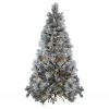 Northlight 7.5' Pre-Lit Black Spruce Artificial Christmas Tree - Clear LED Lights 1 Northlight 7.5' Pre-Lit Black Spruce Artificial Christmas Tree - Clear LED Lights -Northlight Shop northlight v27372 65762.1588362213