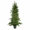 Northlight 6' Noble Pine Slim Artificial Christmas Tree In Terracotta Pot - Unlit 1 Northlight 6' Noble Pine Slim Artificial Christmas Tree In Terracotta Pot - Unlit -Northlight Shop northlight v27377 65527.1659209517