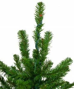 Northlight 3' Pre-Lit Alpine Artificial Christmas Tree - Multi Lights 11 Northlight 3' Pre-Lit Alpine Artificial Christmas Tree - Multi Lights -Northlight Shop northlight v27431 2 69859.1665590923