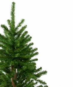 Northlight 3' Pre-Lit Alpine Artificial Christmas Tree - Clear Lights 7 Northlight 3' Pre-Lit Alpine Artificial Christmas Tree - Clear Lights -Northlight Shop northlight v27435 1 20392.1665610738