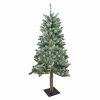 Northlight 4' Flocked Alpine Artificial Christmas Tree - Unlit -Northlight Shop northlight v27438updated 75698.1665519665