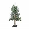 Northlight 3' Pre-Lit Flocked Alpine Artificial Christmas Tree - Clear Lights 1 Northlight 3' Pre-Lit Flocked Alpine Artificial Christmas Tree - Clear Lights -Northlight Shop northlight v27440updated 14248.1665610746