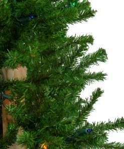 Northlight Set Of 3 Pre-Lit Slim Alpine Artificial Christmas Trees 6' - Multi Lights 12 Northlight Set Of 3 Pre-Lit Slim Alpine Artificial Christmas Trees 6' - Multi Lights -Northlight Shop northlight v27451 2 13644.1665783346