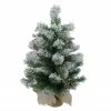 Northlight 24" Flocked Pine Artificial Christmas Tree In Burlap Base - Unlit -Northlight Shop northlight v28322 37484.1665580035
