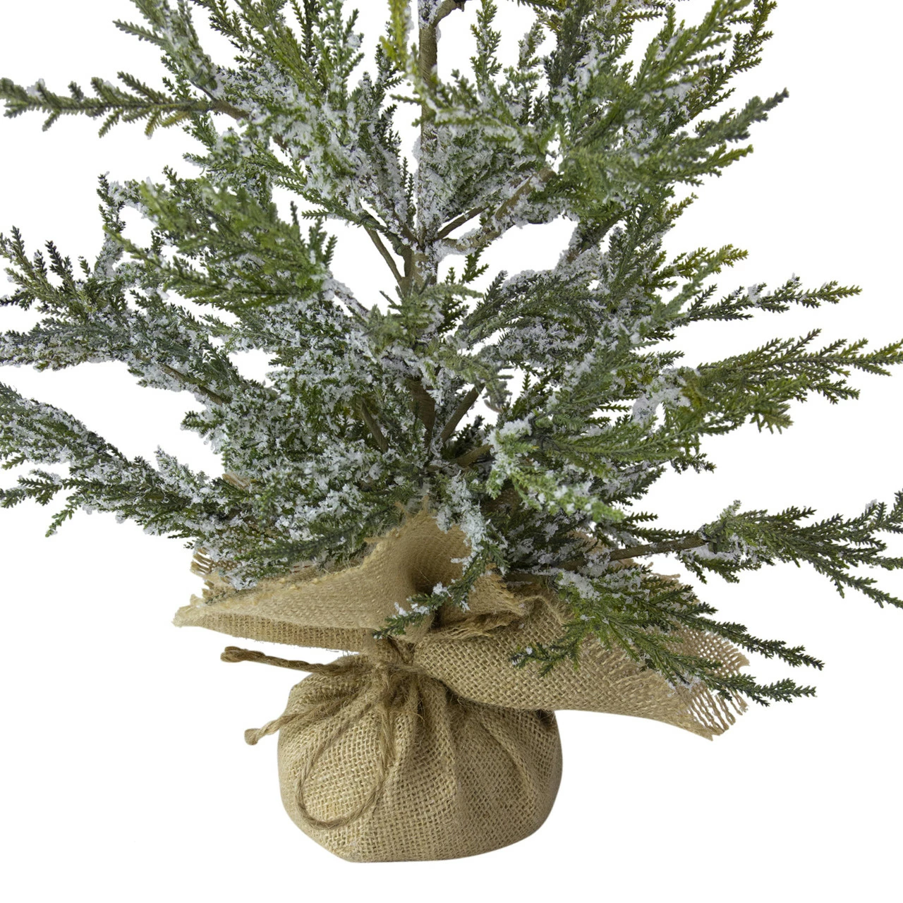 Northlight 2' Potted Iced Cedar Pine Medium Artificial Christmas Tree - Unlit 6 Northlight 2' Potted Iced Cedar Pine Medium Artificial Christmas Tree - Unlit - Image 4