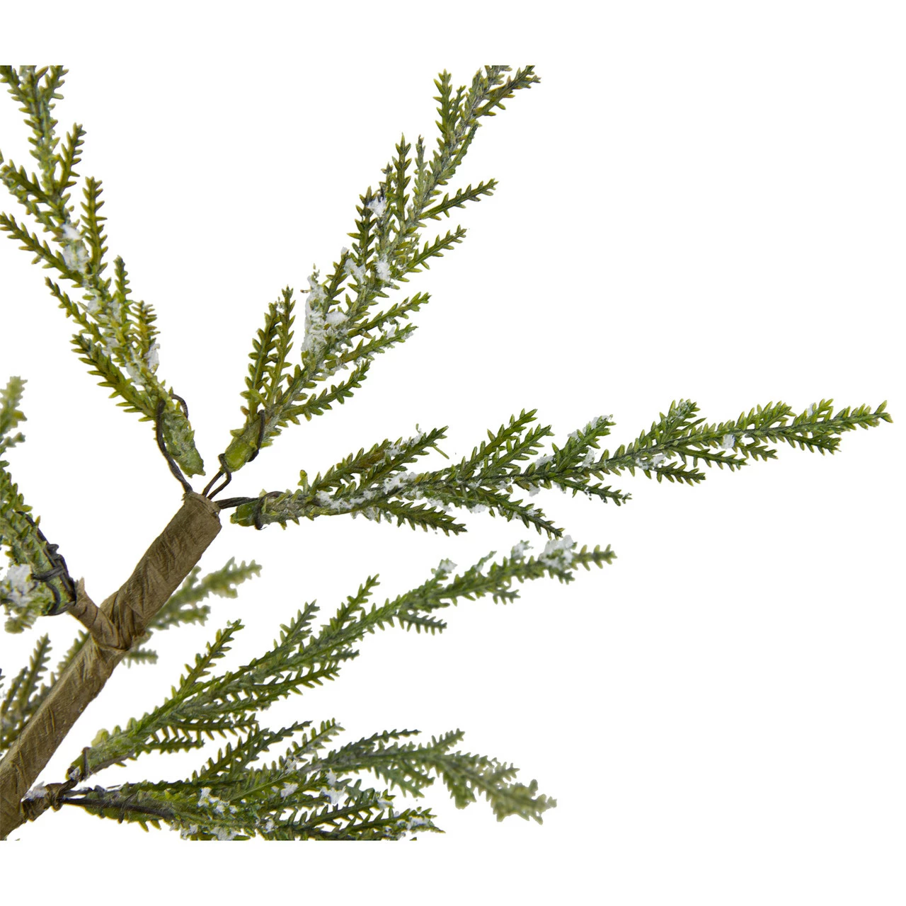 Northlight 2' Potted Iced Cedar Pine Medium Artificial Christmas Tree - Unlit 5 Northlight 2' Potted Iced Cedar Pine Medium Artificial Christmas Tree - Unlit - Image 3
