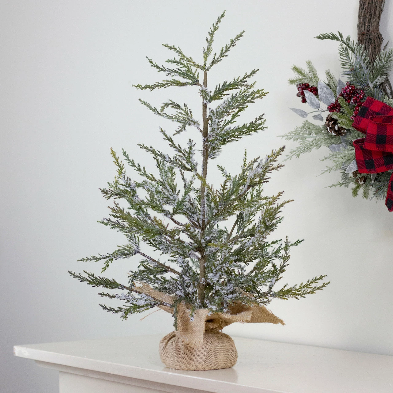 Northlight 2' Potted Iced Cedar Pine Medium Artificial Christmas Tree - Unlit 4 Northlight 2' Potted Iced Cedar Pine Medium Artificial Christmas Tree - Unlit - Image 2