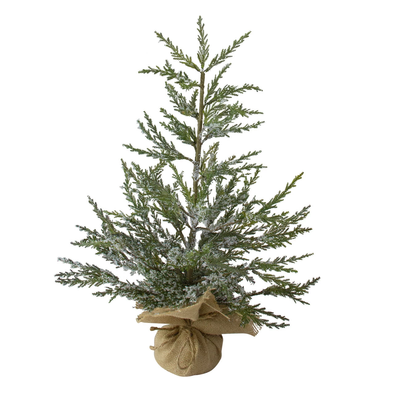 Northlight 2' Potted Iced Cedar Pine Medium Artificial Christmas Tree - Unlit 3 Northlight 2' Potted Iced Cedar Pine Medium Artificial Christmas Tree - Unlit