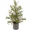 Northlight 2' Potted White Berry And Frosted Pine Christmas Tree, Unlit 1 Northlight 2' Potted White Berry And Frosted Pine Christmas Tree, Unlit -Northlight Shop northlight vm92773 70941.1660325555