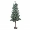 Northlight 4" X 22" Lightly Flocked And Glittered Woodland Alpine Artificial Christmas Tree - Unlit -Northlight Shop northlight yt8448 fk 78805.1587644175