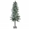 Northlight 5' Lightly Flocked And Glittered Woodland Alpine Artificial Christmas Tree, Unlit 1 Northlight 5' Lightly Flocked And Glittered Woodland Alpine Artificial Christmas Tree, Unlit -Northlight Shop northlight yt8548 fk 15519.1588363231