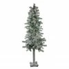 Northlight 5ft Pre-Lit Flocked Woodland Alpine Artificial Christmas Tree - Clear Lights 2 Northlight 5ft Pre-Lit Flocked Woodland Alpine Artificial Christmas Tree - Clear Lights -Northlight Shop northlight yt8558 fk 42798.1588397015