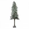 Northlight 6ft Lightly Flocked Glittered Woodland Alpine Artificial Christmas Tree - Clear Lights -Northlight Shop northlight yt8658 fk 16518.1588396977