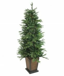 Northlight 6' Pre-Lit Potted Oregon Noble Fir Slim Artificial Christmas Tree - Clear LED Lights