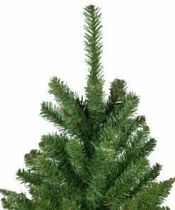 Northlight 7.5' Unlit Pencil White River Fir Artificial Christmas Tree 9 Northlight 7.5' Unlit Pencil White River Fir Artificial Christmas Tree -Northlight Shop northlight z16020 3 83250.1664989115
