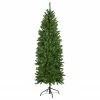 Northlight 7.5' Pre-Lit Pencil White River Fir Artificial Christmas Tree - Clear Lights 2 Northlight 7.5' Pre-Lit Pencil White River Fir Artificial Christmas Tree - Clear Lights -Northlight Shop northlight z16022 1updated 30736.1665610747