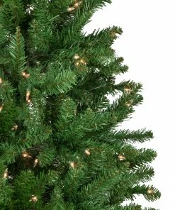 Northlight 7.5' Pre-Lit Pencil White River Fir Artificial Christmas Tree - Clear Lights 10 Northlight 7.5' Pre-Lit Pencil White River Fir Artificial Christmas Tree - Clear Lights -Northlight Shop northlight z16022 6new 24054.1665610747