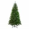 Northlight 7' Pre-Lit Vail Spruce Medium Artificial Christmas Tree - Clear Lights 1 Northlight 7' Pre-Lit Vail Spruce Medium Artificial Christmas Tree - Clear Lights -Northlight Shop northlight z16030 94173.1665519667