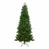 Northlight 7' Pre-Lit Altoona Pine Slim Artificial Christmas Tree - Clear Lights -Northlight Shop northlight z28593 48799.1601602680