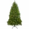 Northlight 9' Green Pre-Lit Medium Northern Pine Artificial Christmas Tree - Clear LED Lights 2 Northlight 9' Green Pre-Lit Medium Northern Pine Artificial Christmas Tree - Clear LED Lights -Northlight Shop northlight z35727 1 updated 94504.1618500399