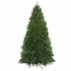 Northlight 12' Pre-Lit Rockwood Pine Artificial Christmas Tree, Multi LED Lights -Northlight Shop northlight z84462 35138.1664379675