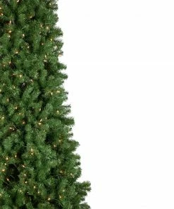 Northlight 15' Pre-Lit Pendleton Spruce Slim Artificial Christmas Tree, Clear Lights 10 Northlight 15' Pre-Lit Pendleton Spruce Slim Artificial Christmas Tree, Clear Lights -Northlight Shop northlight z94039 2 90490.1664379035