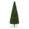 Northlight 15' Pre-Lit Genoa Fraser Fir Slim Artificial Christmas Tree, Clear Lights 1 Northlight 15' Pre-Lit Genoa Fraser Fir Slim Artificial Christmas Tree, Clear Lights -Northlight Shop northlight z94044 main 09255.1664898912