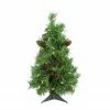 Northlight 2' Pre-Lit Full Dakota Pine Artificial Christmas Tree - Clear Lights -Northlight Shop ofduc9yfca4vmcqjdh8gp6lbvdnftca9 96213.1588355062