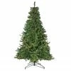 Northlight 12' Pre-Lit 2-Tone Canadian Pine Artificial Christmas Tree - Warm White Lights 1 Northlight 12' Pre-Lit 2-Tone Canadian Pine Artificial Christmas Tree - Warm White Lights -Northlight Shop om8h9ppp1nfiqibgmlxg1lo6ieeln2xh 10956.1600824029