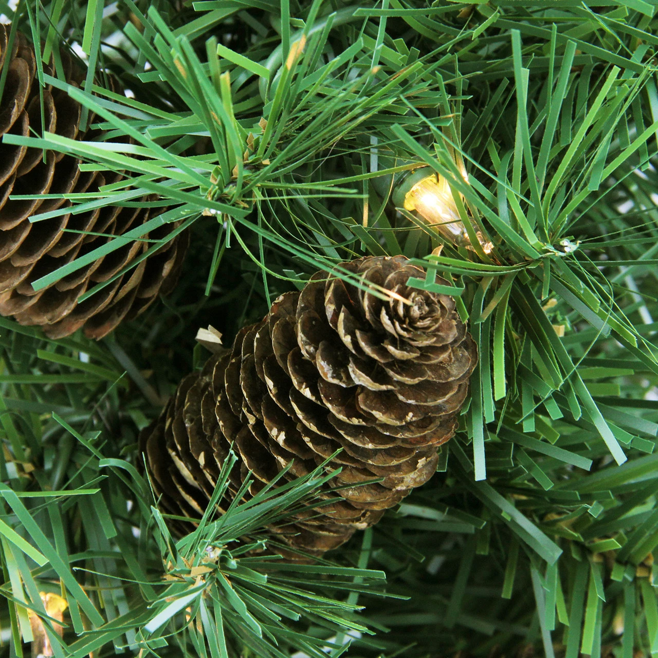 Northlight 2' Pre-Lit Full Dakota Pine Artificial Christmas Tree - Clear Lights 4 Northlight 2' Pre-Lit Full Dakota Pine Artificial Christmas Tree - Clear Lights - Image 2