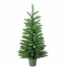 Northlight 3' Potted Norway Spruce Medium Artificial Christmas Tree - Unlit -Northlight Shop owumes9mxhcbmcjkvqfcxilkqcfz9ujx 34902.1665580317