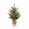 Napa Home & Garden 2' Green And Brown Glittered Cardinal Snow Pine Artificial Christmas Tree - Unlit -Northlight Shop ppkcsi27emsjqkygvwkajllc9yqlx7if 85090.1588371056