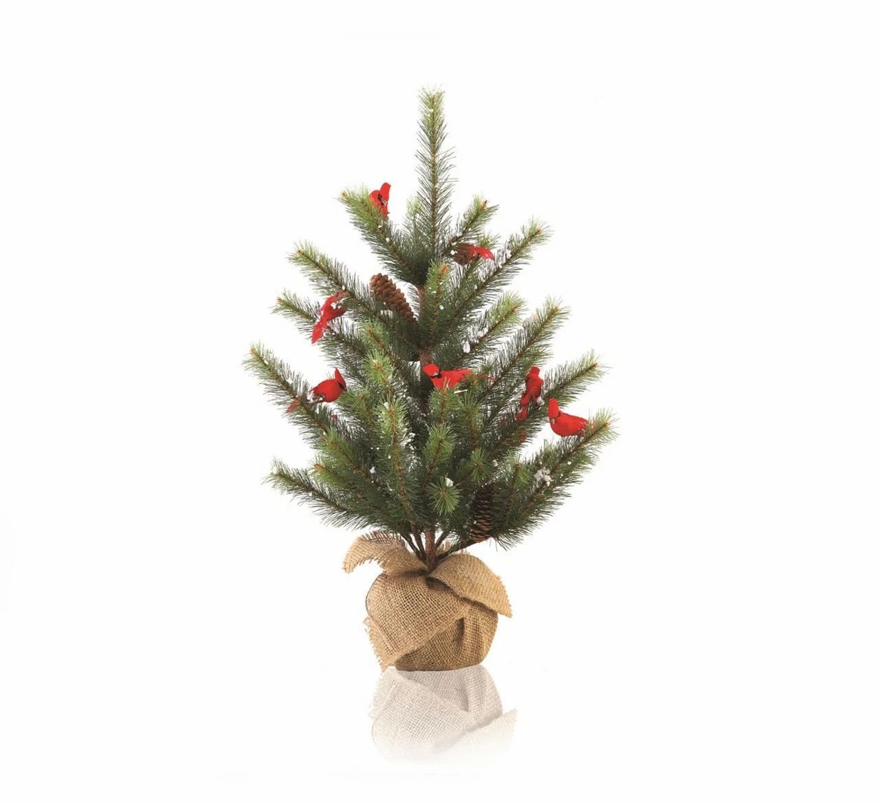 Napa Home & Garden 2' Green And Brown Glittered Cardinal Snow Pine Artificial Christmas Tree - Unlit 3 Napa Home & Garden 2' Green And Brown Glittered Cardinal Snow Pine Artificial Christmas Tree - Unlit