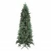 Santa's Own 9' Pre-Lit Slim Fresh Cut Carolina Frasier Artificial Christmas Tree - Multi-Color Lights 2 Santa's Own 9' Pre-Lit Slim Fresh Cut Carolina Frasier Artificial Christmas Tree - Multi-Color Lights -Northlight Shop santasown cfrp90bglbm 65652.1595941776