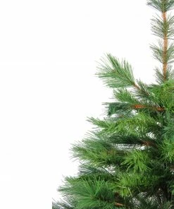 Northlight 3' Potted New Carolina Spruce Medium Artificial Christmas Tree - Unlit -Northlight Shop sizueobn2mf7pj7trpis4u3dkcb3ettz 19805.1665610422