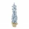 Arett Sales 2' Blue Potted Frosted Pine Slim Artificial Christmas Tree - Unlit -Northlight Shop uzxsuoortonvdd3qxceyaoumndigqsyf 72884.1588397466