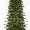 GKI/Bethlehem Lighting 7.5' Pre-Lit Slim Palisade Artificial Christmas Tree - Multi LED Lights 2 GKI/Bethlehem Lighting 7.5' Pre-Lit Slim Palisade Artificial Christmas Tree - Multi LED Lights -Northlight Shop v0xrp5vus65qvmgrpdnhfaaxzkewc9h5 23804.1611720145