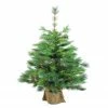 Northlight 3' Potted New Carolina Spruce Medium Artificial Christmas Tree - Unlit 2 Northlight 3' Potted New Carolina Spruce Medium Artificial Christmas Tree - Unlit -Northlight Shop vcpb9nvhitmvkbd1cvp3edclacwlzbh7 43969.1588353913