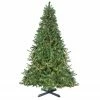 Northlight 15' Pre-Lit Canadian Pine Commercial Artificial Christmas Tree - Warm White Lights 2 Northlight 15' Pre-Lit Canadian Pine Commercial Artificial Christmas Tree - Warm White Lights -Northlight Shop vjphdc9al2mkq97p4uob5tsvjuht3qe5 81723.1665610423