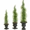 Raz Set Of 3 Potted Sparkling Frosted Spiral Topiary Artificial Christmas Tree 1.5' - Unlit 1 Raz Set Of 3 Potted Sparkling Frosted Spiral Topiary Artificial Christmas Tree 1.5' - Unlit -Northlight Shop yg4k6cpp23ptcdhdtryb96cfwhh92pny 50478.1588362247