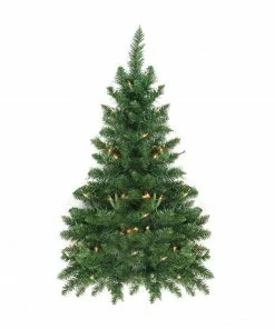 Northlight 3' Pre-Lit Buffalo Fir Artificial Christmas Wall Or Door Tree - Clear Dura Lights