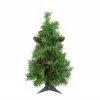 Northlight 2' Full Dakota Pine Artificial Christmas Tree - Unlit -Northlight Shop zrrk55rmac4mcjtpqodsijqbnbrydqco 84397.1587644189